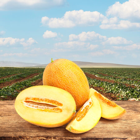 Bekris%20Agro