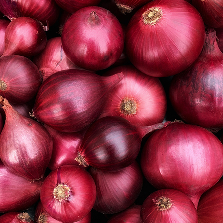 Bekris%20Agro